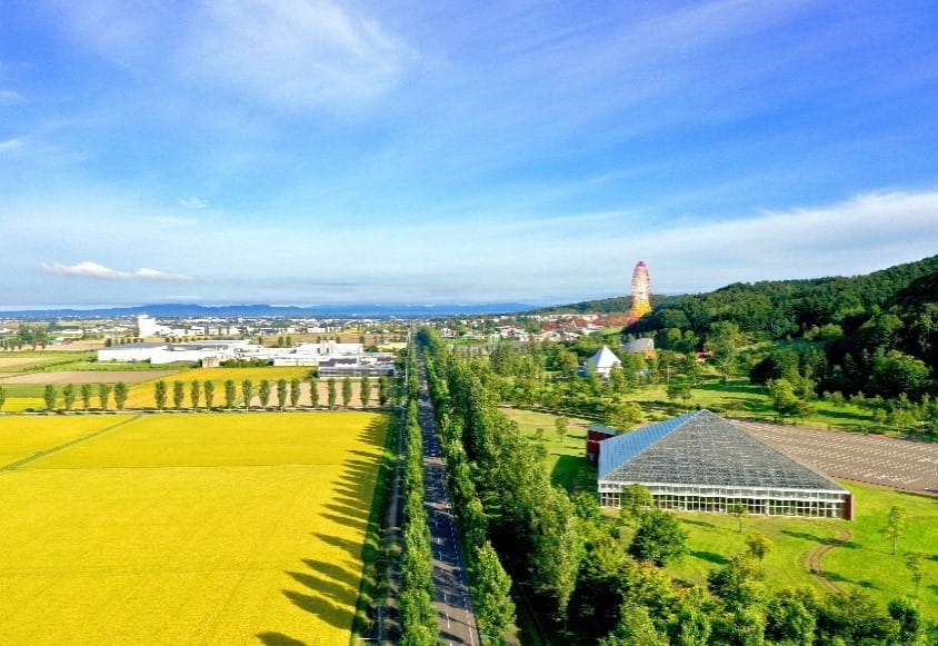 北海道岩見沢市