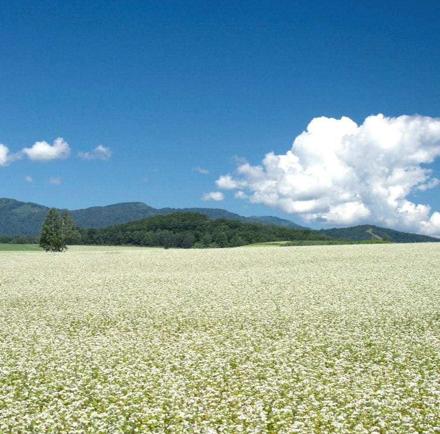 北海道幌加内町