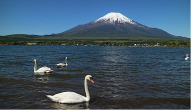 山梨県山中湖村