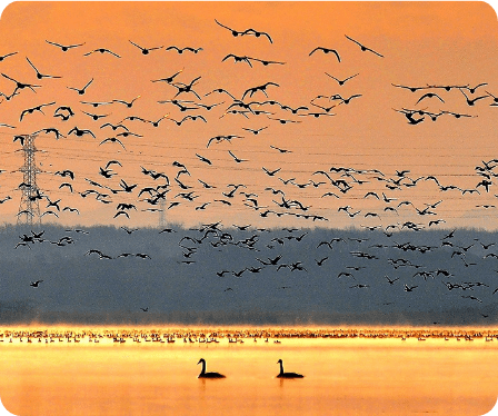 北海道苫小牧市