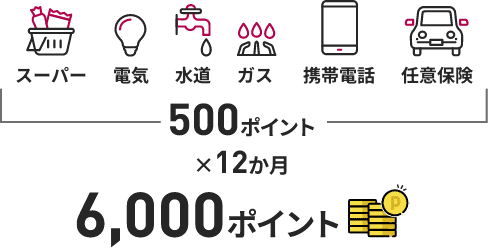 500ポイント×12か月 6,000ポイント