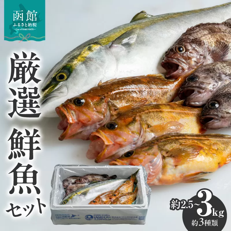 【函館産】厳選　鮮魚セット_HD156-001