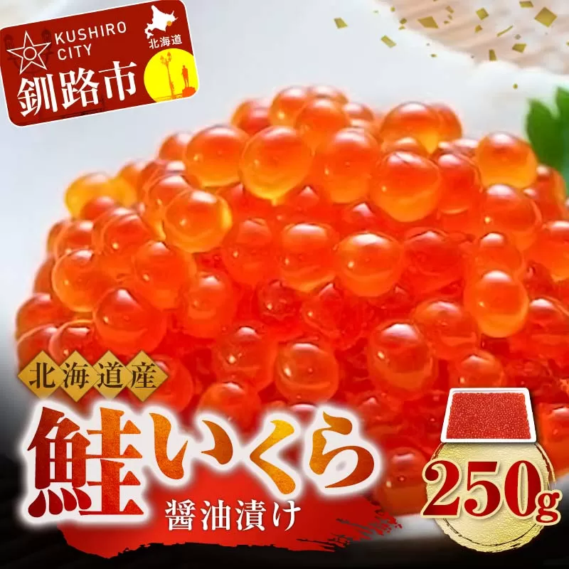 北海道産 鮭 いくら 醤油漬け 250g×1パック 北海道 釧路 ふるさと納税 いくら イクラ 丼 ごはんのお供 魚介類 海鮮 魚卵 海産物 F4F-3532