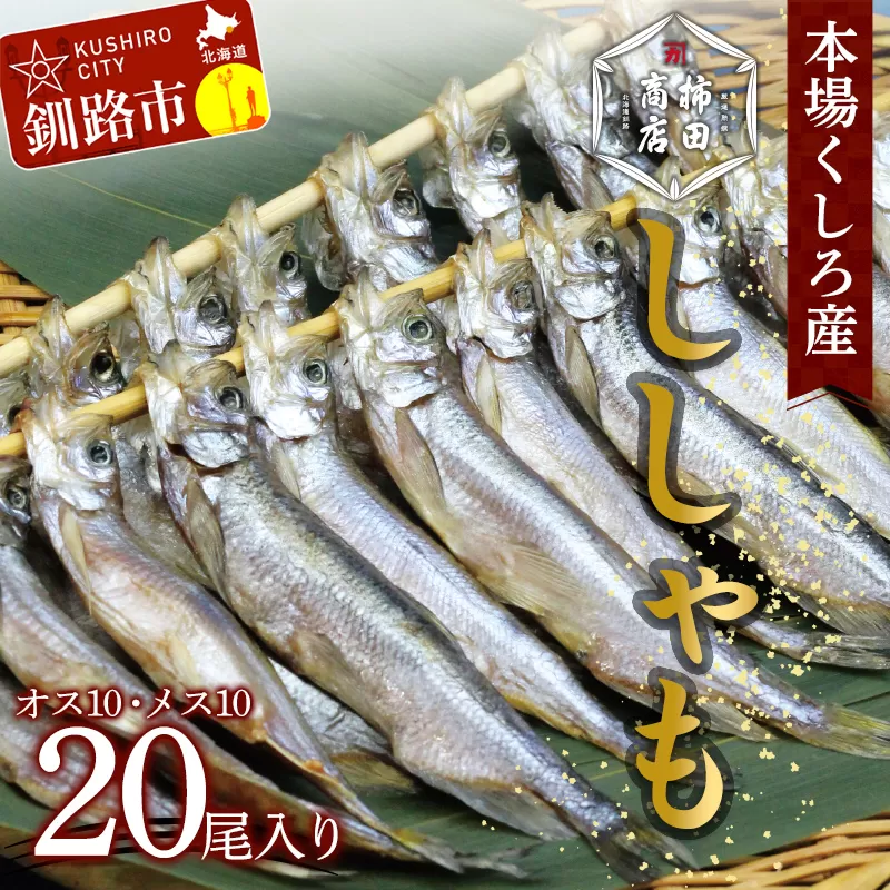 本場くしろ産 ししゃもオス・メス20尾入り！ 本ししゃも 魚 ししゃも 魚好きのオス プチプチたまごのメス 魚介 グルメ シシャモ 北海道産 国産 魚 魚介 海の幸 F4F-4790