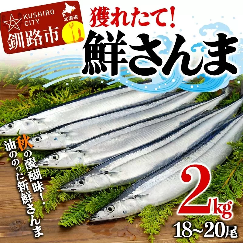 獲れたて鮮さんま 2kg (18～20尾) さんま 秋刀魚 サンマ 新鮮 魚 鮮魚 海産物 旬 北海道 釧路 F4F-3229