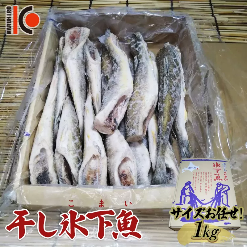 干し氷下魚(サイズお任せ)1kg こまい コマイ 魚 白身魚 おつまみ 肴 おかず F4F-5165