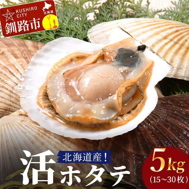 北海道産!活ホタテ5kg(15～30枚) 北海道 ホタテ ほたて 帆立 帆立貝 海鮮 貝 活帆立 活ホタテ 生 殻付き F4F-3873