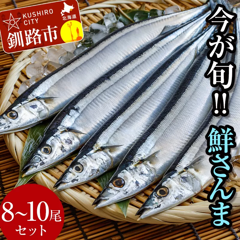 今が旬!!（鮮度抜群!!釧路産） 鮮さんま 8～10尾 さんま 秋刀魚 サンマ 新鮮 魚 鮮魚 海産物 旬 産地直送 北海道 釧路 F4F-0606