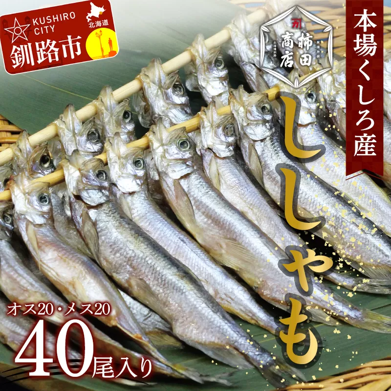 本場くしろ産 ししゃもオス・メス40尾入り！ 本ししゃも 魚 ししゃも 魚好きのオス プチプチたまごのメス 魚介 グルメ シシャモ 北海道産 国産 魚 魚介 海の幸 F4F-4791