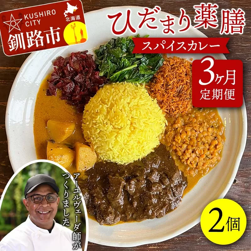 【3ヶ月連続定期便】 ひだまり薬膳スパイスカレー 2個 冷凍 薬膳 スパイスカレー カレー スパイス デトックス 保存食 ジビエ 低糖質 ターメリックライス F4F-4365