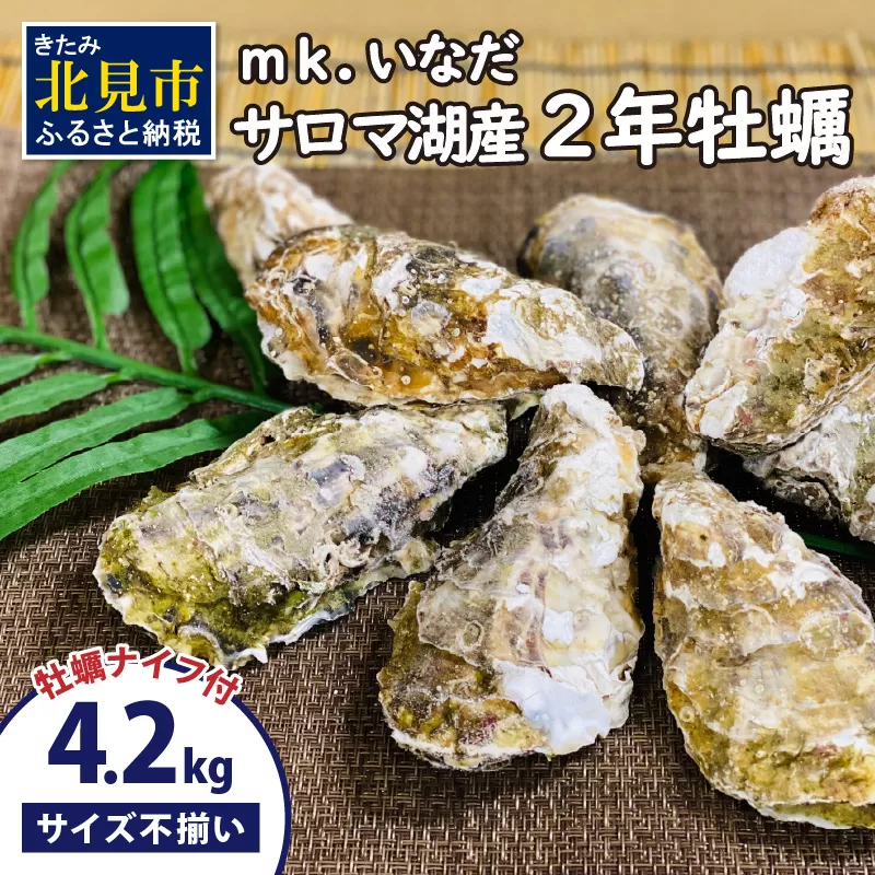 【予約：2024年11月上旬から順次発送】サロマ湖産 殻付き2年牡蠣 4.2kg サイズ不揃い ※牡蠣ナイフ付 ( カキ かき 4.2キロ 魚介 海鮮 貝 ふるさと納税 BBQ バーベキュー )【113-0004-2024】