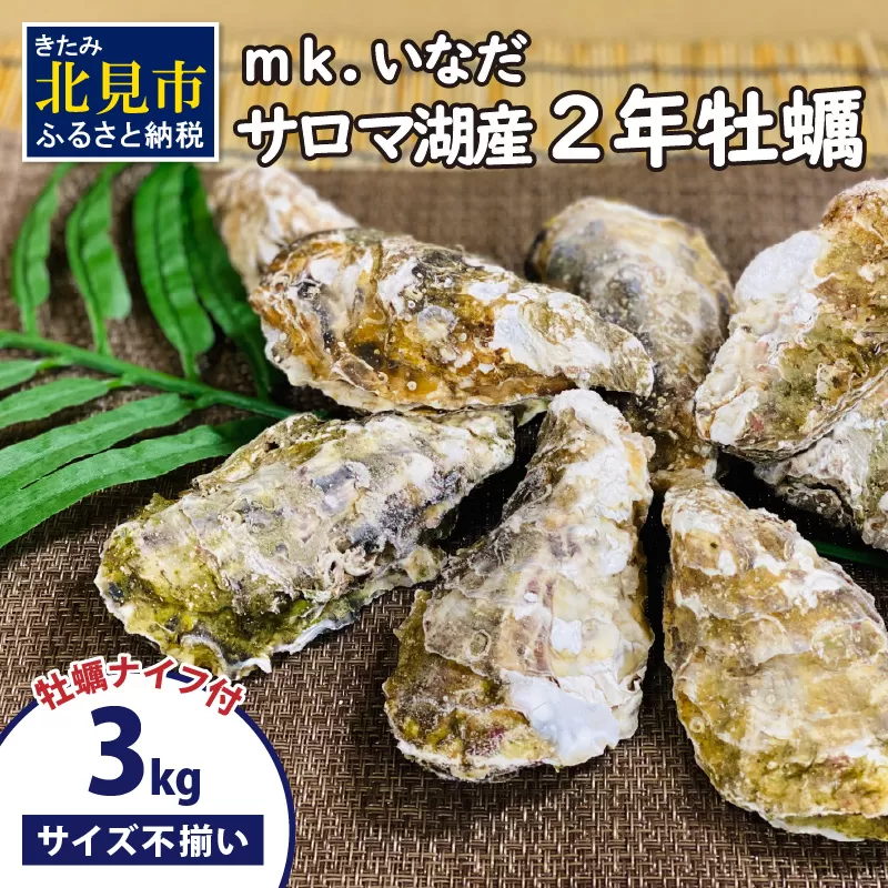 【予約：2024年11月上旬から順次発送】サロマ湖産 殻付き2年牡蠣 3kg サイズ不揃い ※牡蠣ナイフ付 ( カキ かき 3キロ 魚介 海鮮 貝 ふるさと納税 BBQ バーベキュー )【113-0009】