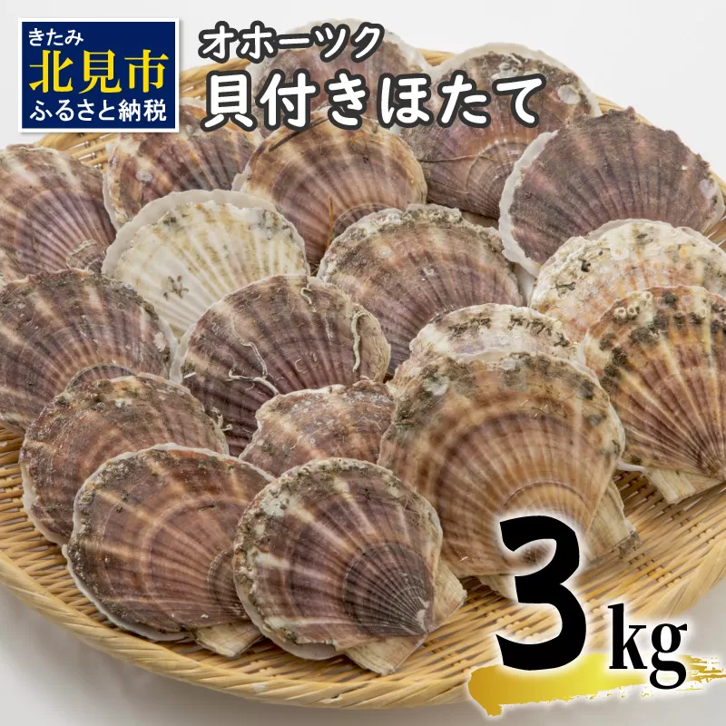 【予約：2024年3月下旬から順次発送】オホーツク貝付きほたて 3kg(15枚～25枚)( 海鮮 魚介 魚介類 貝 貝類 ホタテ ほたて 帆立 殻付き 貝柱 贈答 ギフト 贈り物 お中元 お祝い BBQ バーベキュー )【031-0003-2024】