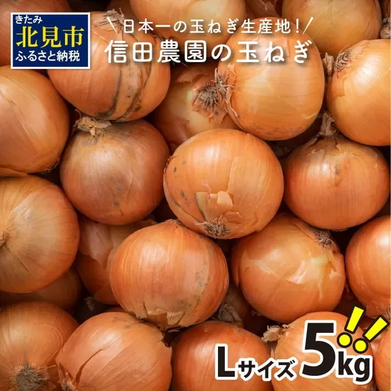 【予約：2024年10月中旬から順次発送】日本一の玉ねぎ生産地！信田農園の玉ねぎ 5kg Lサイズ ( 信田農園 野菜 玉ねぎ 玉葱 タマネギ たまねぎ 甘い 5キロ オニオン ふるさと納税 )【124-0002-2024】