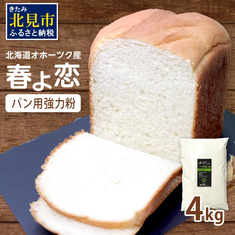 【北海道オホーツク産】パン用強力粉 春よ恋 4kg　※賞味期限30日保証 ( パン用強力粉 北海道産 小麦粉 パン 製パン )【056-0001】