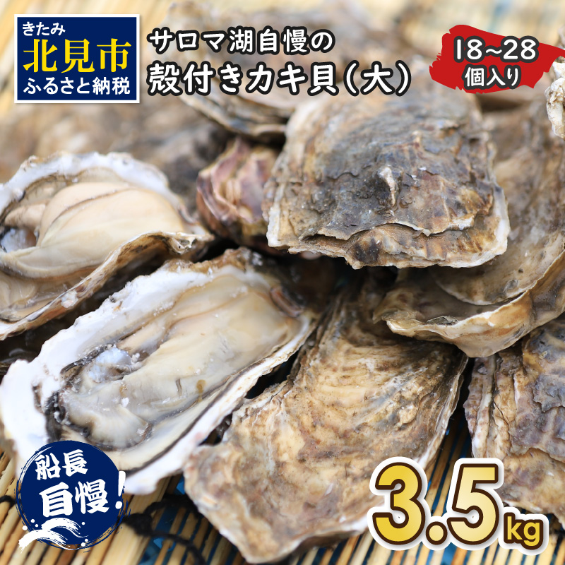新品最安値牡蠣 ２０ｋｇ 殻付き 牡蠣 殻付き 牡蛎 牡蠣 殻付 魚介