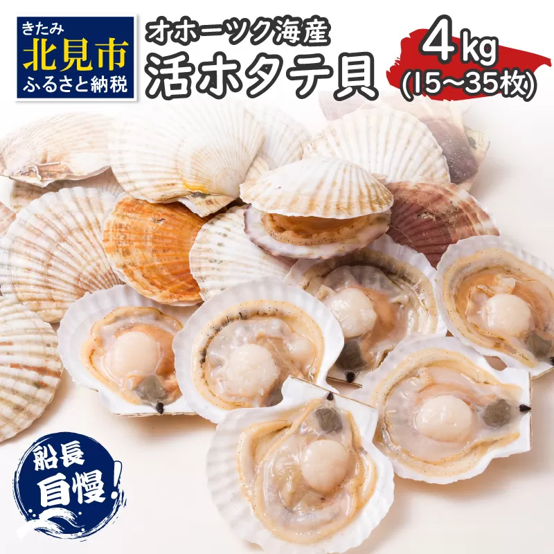 とれたて新鮮！オホーツク海産 活ホタテ貝 4kg 15～35枚 ( 魚介 海鮮 貝 帆立 ほたて ホタテ 4キロ カレー シチュー 肉厚 )【114-0004-2024】