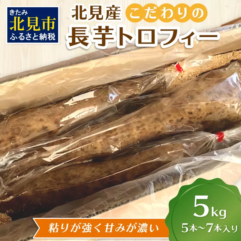 【予約：2024年11月下旬から順次発送】北見産 こだわりの長芋トロフィー 5kg箱 ( 長いも ながいも 野菜 数量限定 期間限定 5キロ )【169-0001】