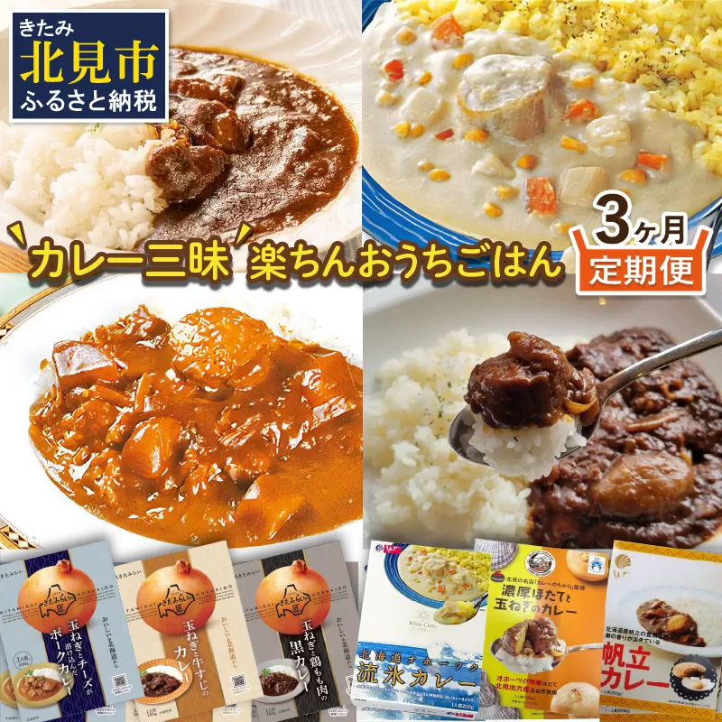 【3ヶ月定期便】 ＼カレー三昧／楽ちんおうちごはん ( カレー レトルトカレー 定期便 )【999-0112】