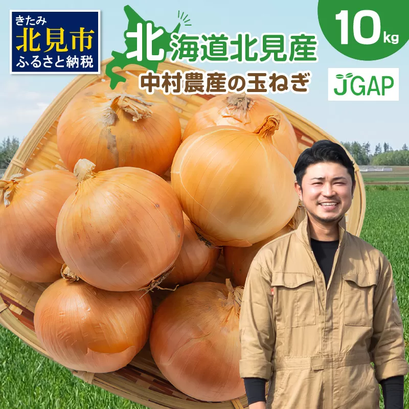 【予約：2024年9月下旬から順次発送】北海道北見産 玉ねぎ 10kg ( 野菜 たまねぎ タマネギ 玉葱 玉ねぎ 甘い Lサイズ 10キロ 玉ねぎ生産量日本一 )【002-0009-2024】