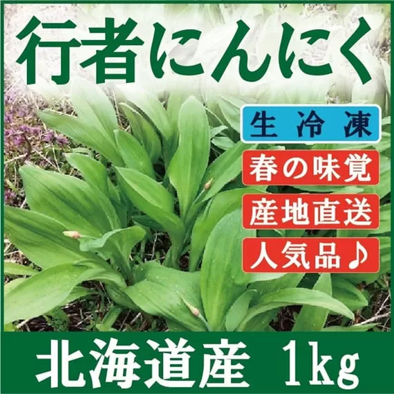 ≪先行予約≫  北海道岩見沢市産 令和7年産 行者にんにく葉(冷凍) 1kg【09118】