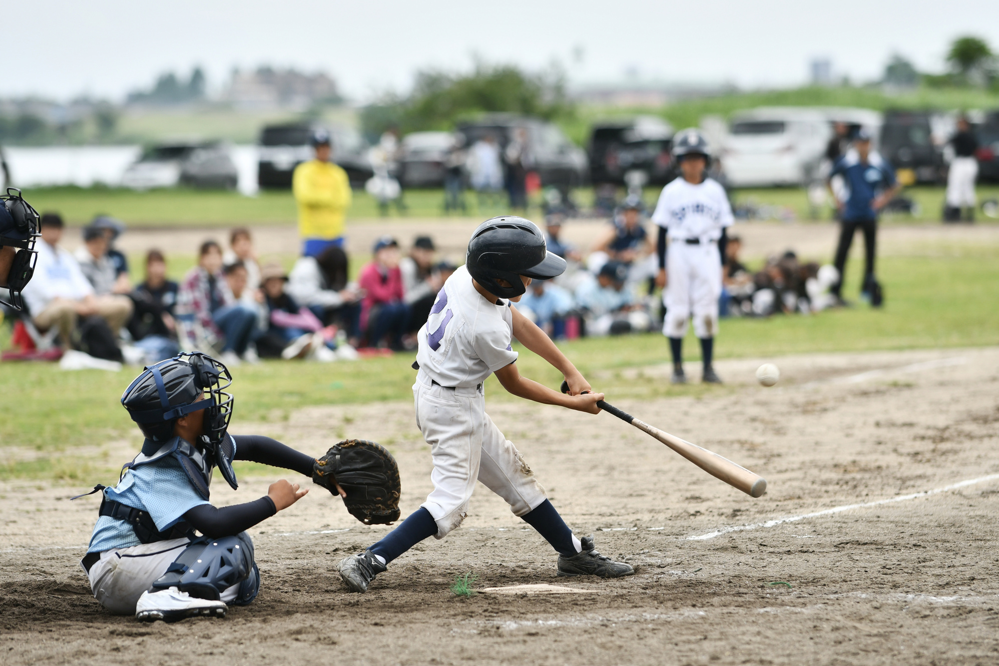 スポーツ・文化の振興に関する事業