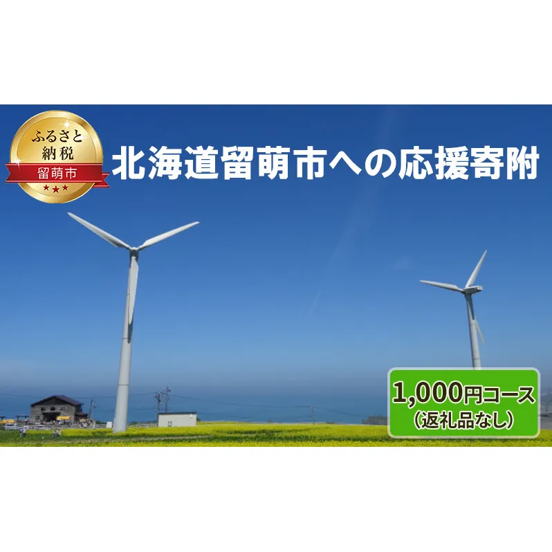 北海道留萌市 寄附のみの応援受付 1,000円コース（返礼品なし 寄附のみ 1000円）