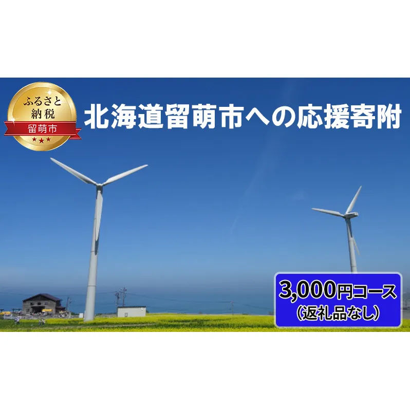 北海道留萌市 寄附のみの応援受付 3,000円コース（返礼品なし 寄附のみ 3000円）