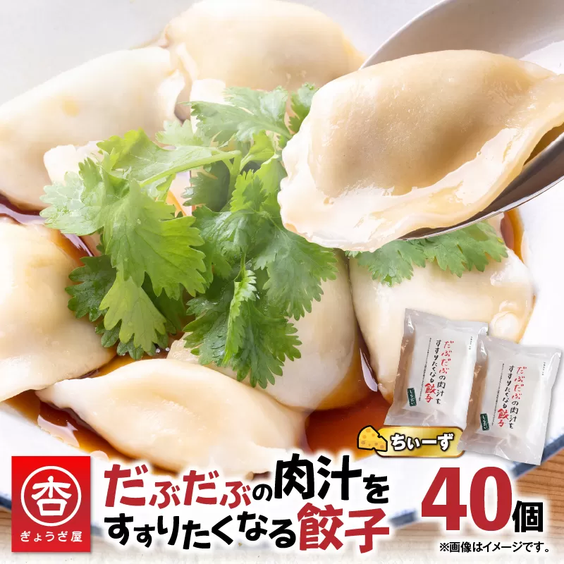 だぶだぶの肉汁をすすりたくなる餃子ちぃーず 40個