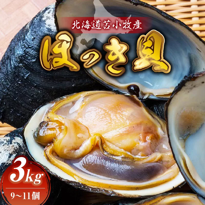 北海道苫小牧産　ほっき貝　3kg（9〜11個）