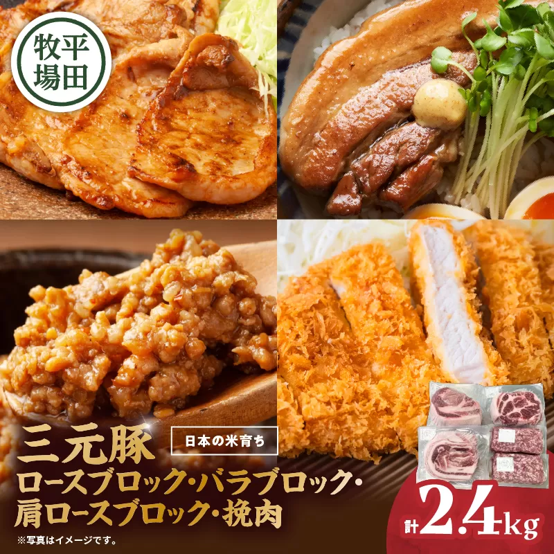 日本の米育ち平田牧場 三元豚ロースブロック・バラブロック・肩ロースブロック・挽肉　各600g（計2.4kg）