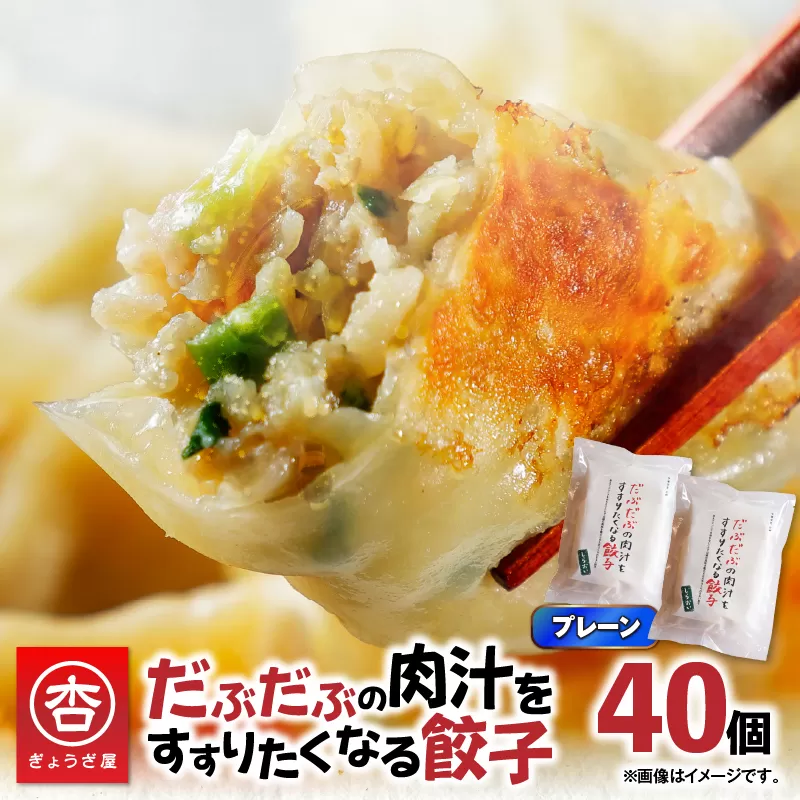 だぶだぶの肉汁をすすりたくなる餃子 40個