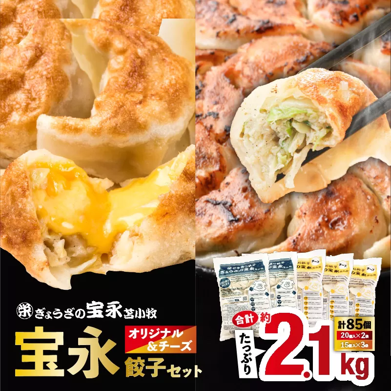 【4月1日より寄附金額・内容量改定】【ぎょうざの宝永】宝永餃子（500g×2袋）＆チーズ餃子（375g×3袋）セット　合計2,125g