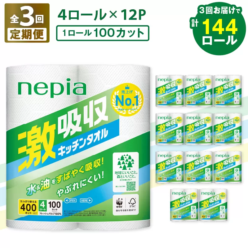 【全3回定期便】紙のまち苫小牧 王子ネピア 激吸収 キッチンタオル 100（48ロール×3回）　T001