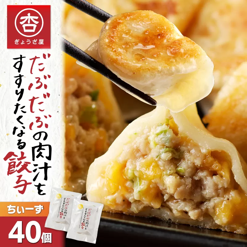 だぶだぶの肉汁をすすりたくなる餃子ちぃーず 40個