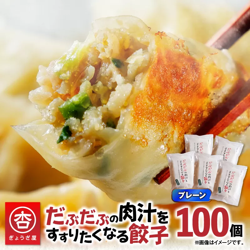 だぶだぶの肉汁をすすりたくなる餃子 100個