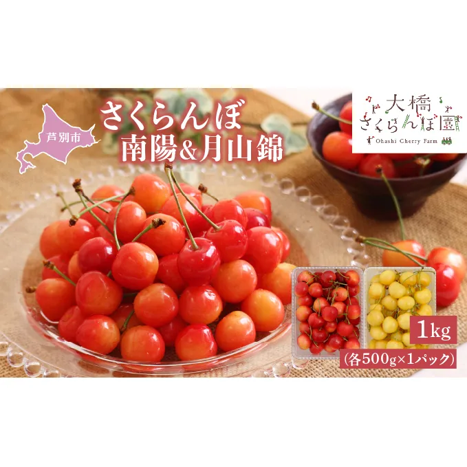 さくらんぼ 先行受付 南陽 月山錦 1kg 各500g×1パック 大橋さくらんぼ園 サクランボ チェリー 果物 果物類 フルーツ デザート 最高級 黄色 大粒 甘い さわやかな酸味 北海道 芦別市 