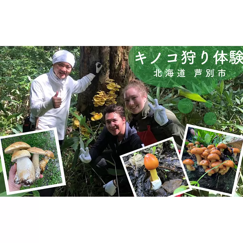 季節のキノコ狩り 体験チケット 1枚 (3名まで参加可能) 北海道 芦別市 ioru