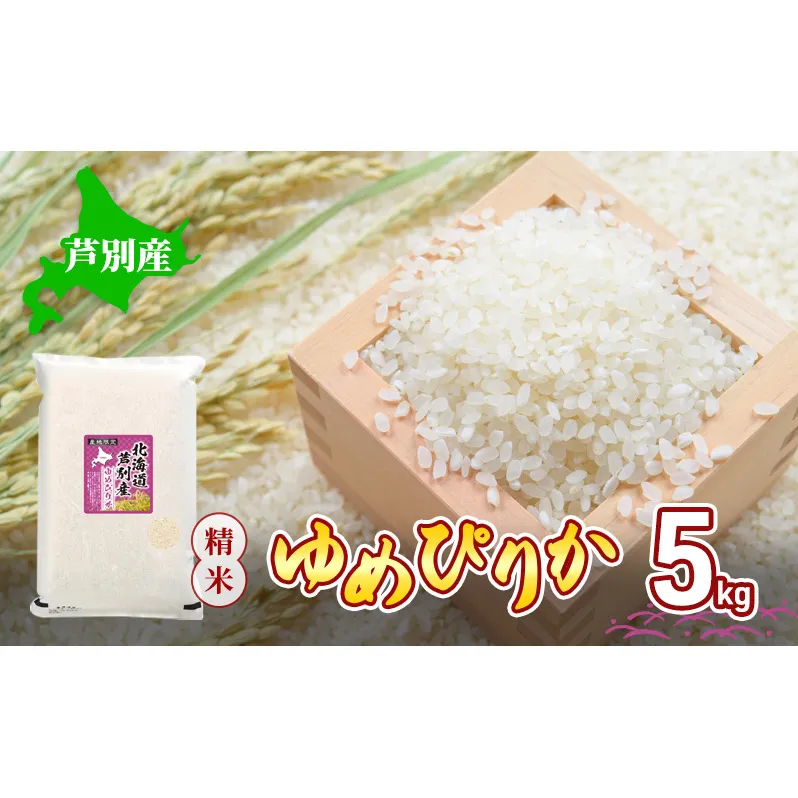 米 令和6年 ゆめぴりか 5kg 北海道米 新米 白米 精米 お米 おこめ こめ ご飯 ごはん 単一原料米 ブランド米 令和6年産 北海道 芦別市