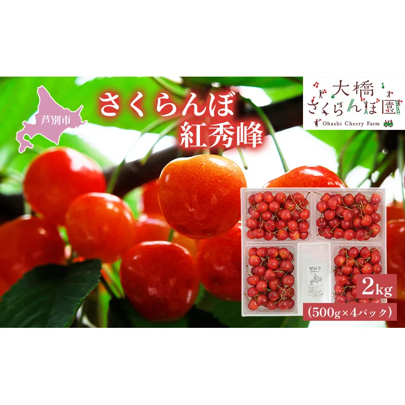 さくらんぼ 先行受付 紅秀峰 2kg 500g×4パック 大橋さくらんぼ園 農林水産大臣賞 受賞 サクランボ チェリー 果物 果物類 フルーツ デザート 甘味 濃厚 人気 厳選 最高級 こだわり 逸品 大粒 北海道 芦別市 