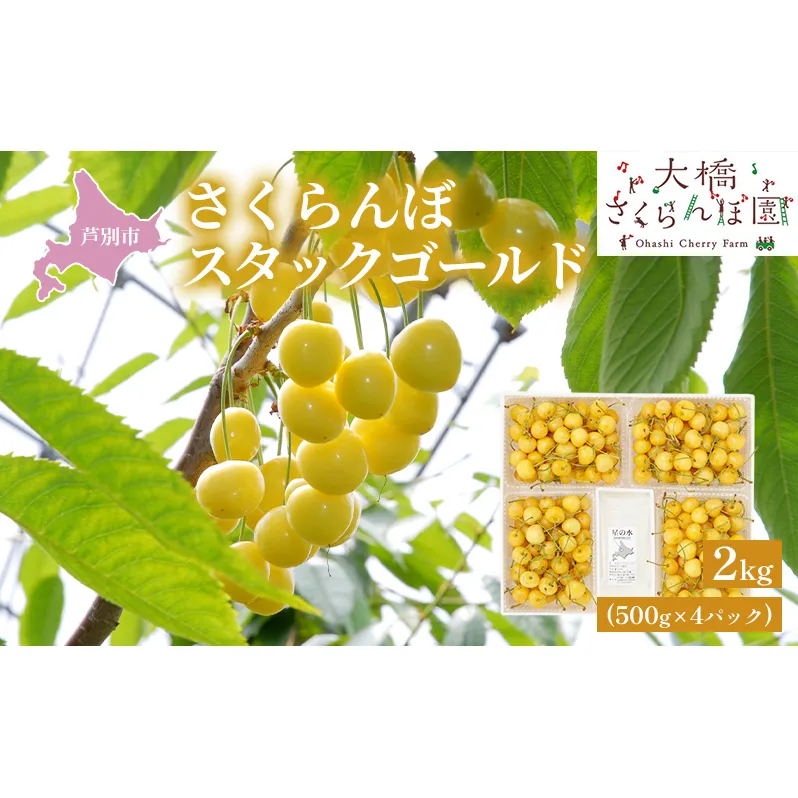 【先行受付】スタックゴールド黄 2kg（500g×4パック）サクランボ 黄 大橋 芦別 希少 大容量