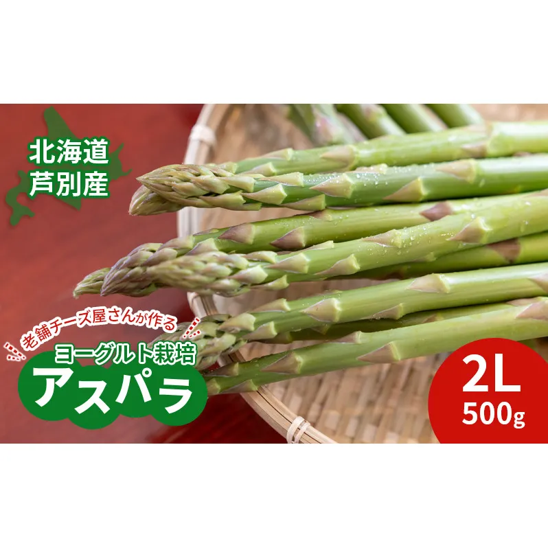 【2025年発送】アスパラ 横市ヨーグルト栽培  2L 500g 横市フロマージュ舎 野菜 アスパラガス グリーンアスパラ 旬 とれたて お取り寄せ 産地直送 小分け 保存 芦別市 北海道 送料無料