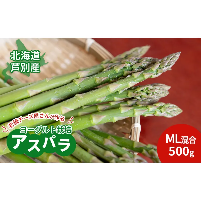 【2025年発送】アスパラ 横市ヨーグルト栽培 500g MLサイズ混合 横市フロマージュ舎 野菜 アスパラガス グリーンアスパラ 旬 とれたて お取り寄せ 産地直送 小分け 保存 芦別市 北海道 送料無料