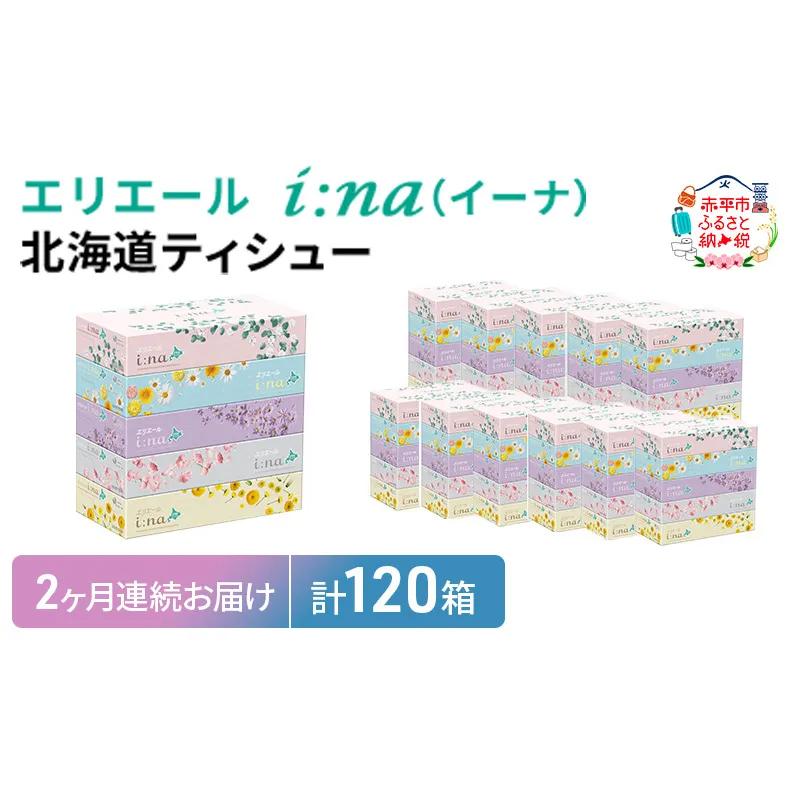 2ヵ月連続お届け 計120箱 エリエール i:na (イーナ) 北海道 ティシュー 150組5箱 12パック ティッシュペーパー 箱ティッシュ まとめ買い 防災 常備品 備蓄品 消耗品 日用品 生活必需品 送料無料 赤平市