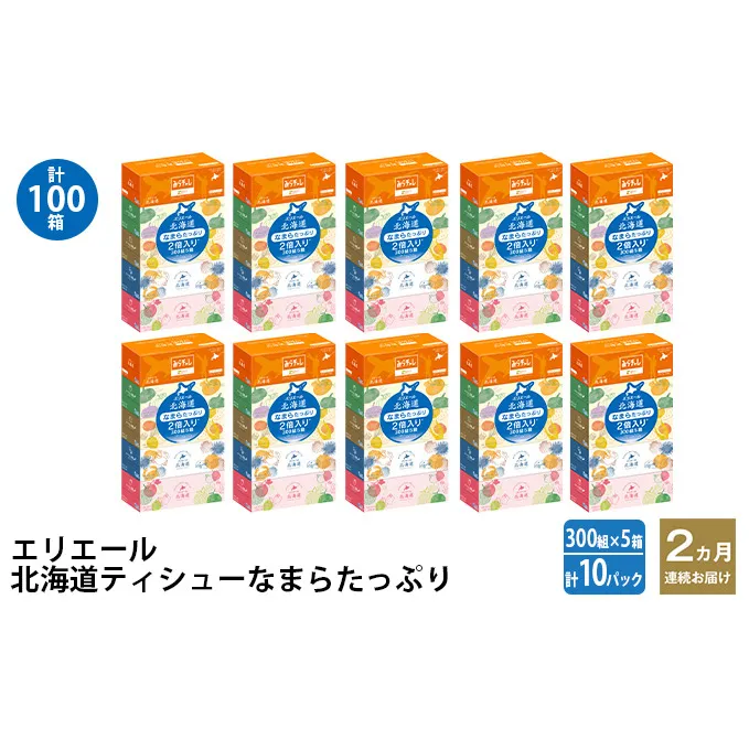 2ヵ月連続お届け 計100箱 エリエール 北海道 ティシュー なまらたっぷり 300組5箱 10パック 大容量 まとめ買い 防災 常備品 備蓄品 消耗品 日用品 生活必需品 送料無料 赤平市