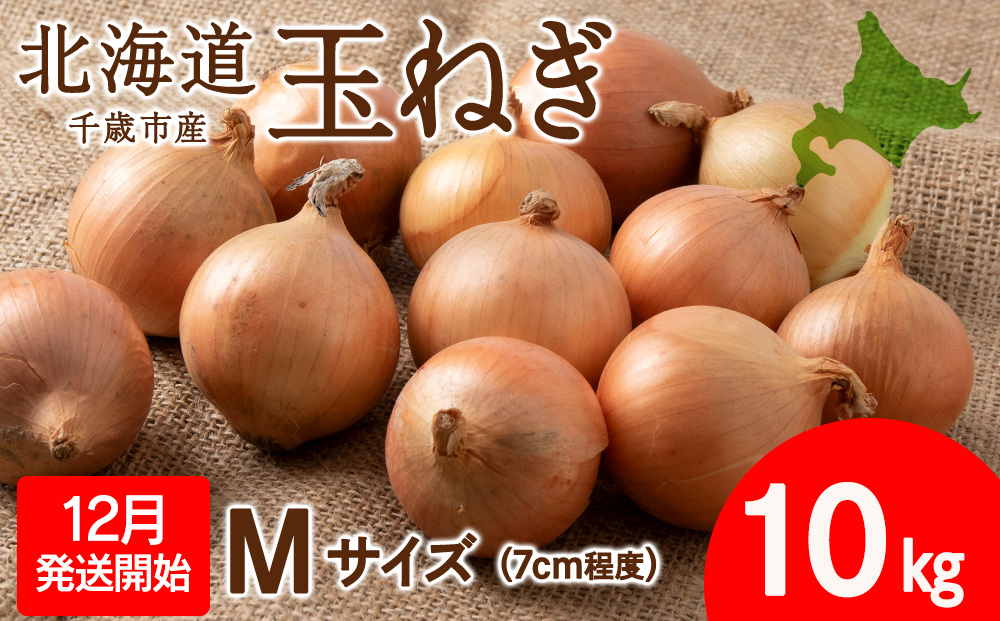 先行予約】玉ねぎ 10kg Mサイズ 北海道 千歳市産 甘い たまねぎ 野菜 冷蔵 タマネギ  【假屋フードブリッジ】｜千歳市｜北海道｜返礼品をさがす｜まいふる by AEON CARD