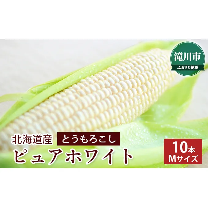 北海道産 ピュアホワイト 10本(Mサイズ)＜2024年7月中旬～順次出荷＞｜北海道 滝川市 とうきび トウモロコシ 2024年発送 先行受付 野菜 白とうもろこし