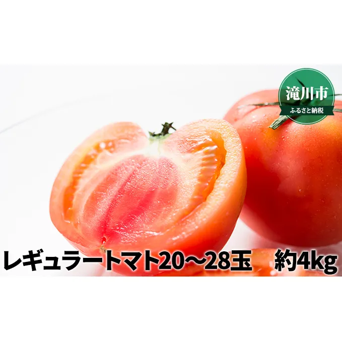 北海道産 レギュラートマト 20～28玉 約4kg＜2024年7月中旬～順次出荷＞｜北海道 滝川市 トマト 野菜 とまと 2024年発送 先行受付 やさい