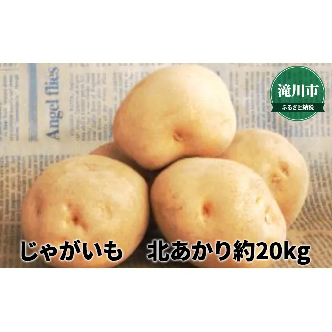 北海道産 じゃがいも北あかり 約20kg＜2024年9月下旬～順次出荷＞｜北海道 滝川市 北アカリ 北あかり キタアカリ きたあかり じゃがいも 野菜 2024年発送 令和6年発送 やさい ジャガイモ