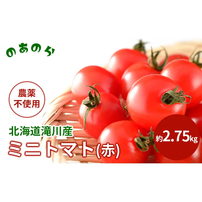 【栽培期間中 農薬不使用 】 北海道 滝川市 産 ミニトマト (赤) 約2.75kg トマト 野菜 やさい みにとまと